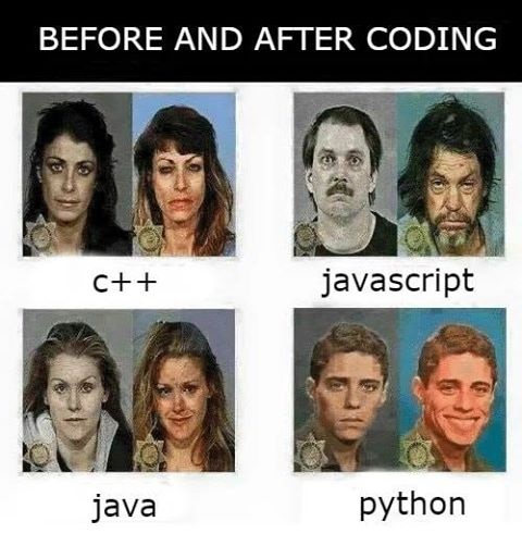 Что означает язык python